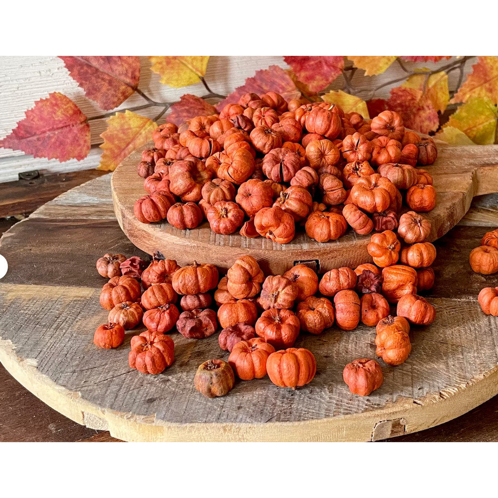 NWT Vintage Thanksgiving Fall Mini Pumpkins Vase Bowl Filler Autumn Home Decor